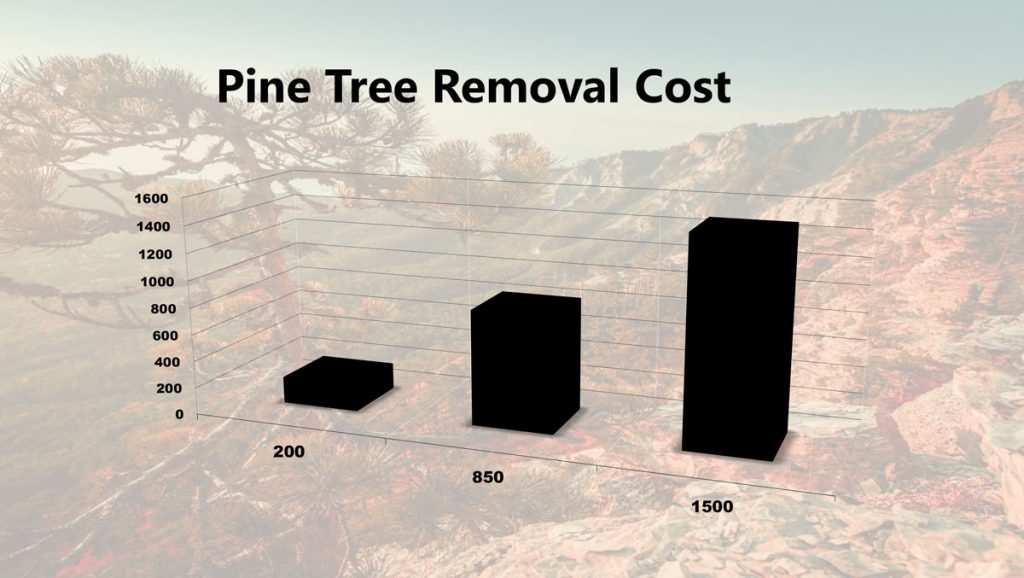 Phoenix TrimATree, LLC.