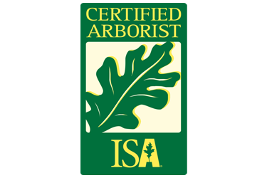 isa-logo