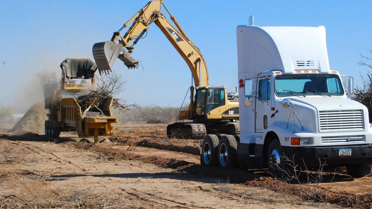 land-clearing-services