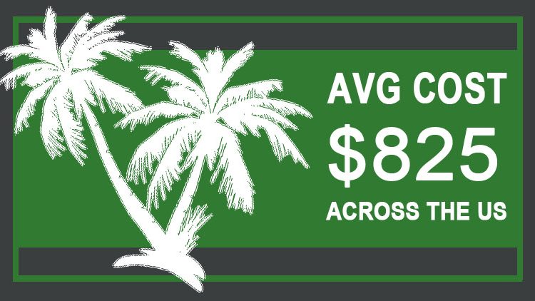 palm-tree-removal-cost
