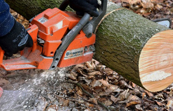 Tree Stump Removal