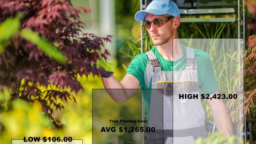 Tree Planting Costs 2021 Phoenix TrimATree, LLC.