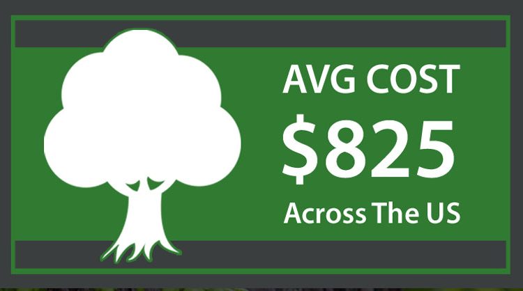 tree-removal-cost