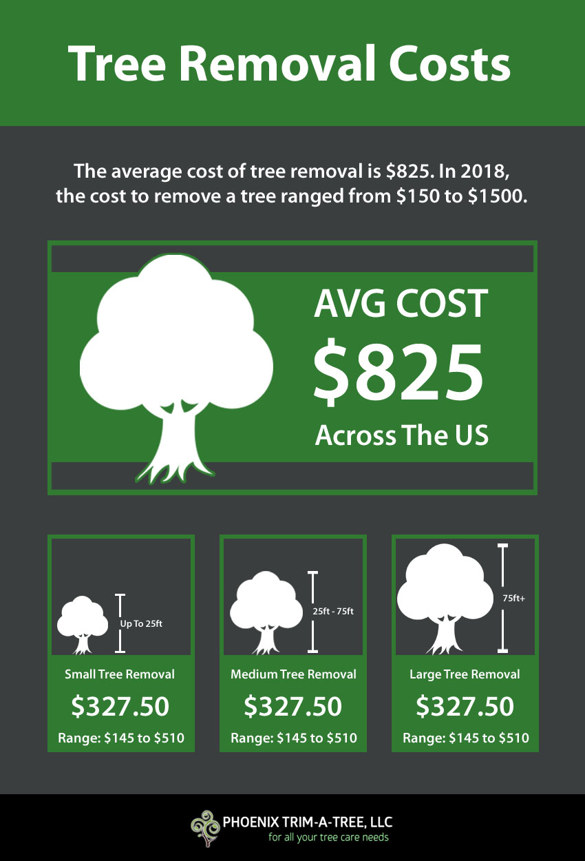 How Much Does Tree Removal Cost? - Phoenix Trim-A-Tree, LLC.