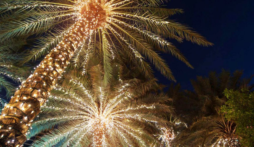 palm tree christmas