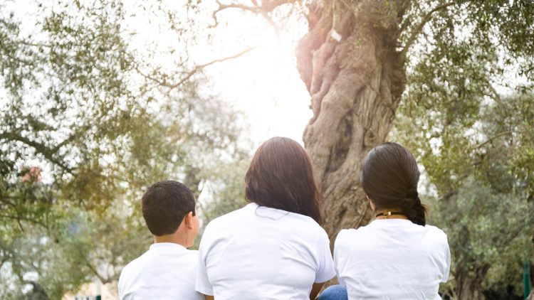 Inspirational Tree Quotes