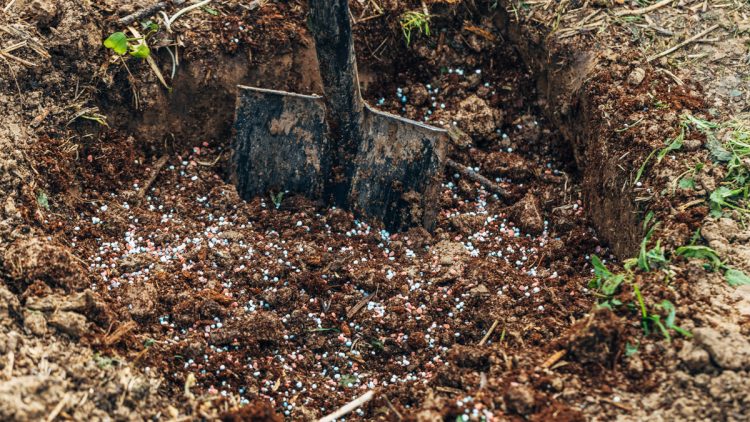 Deep-Root-Fertilization